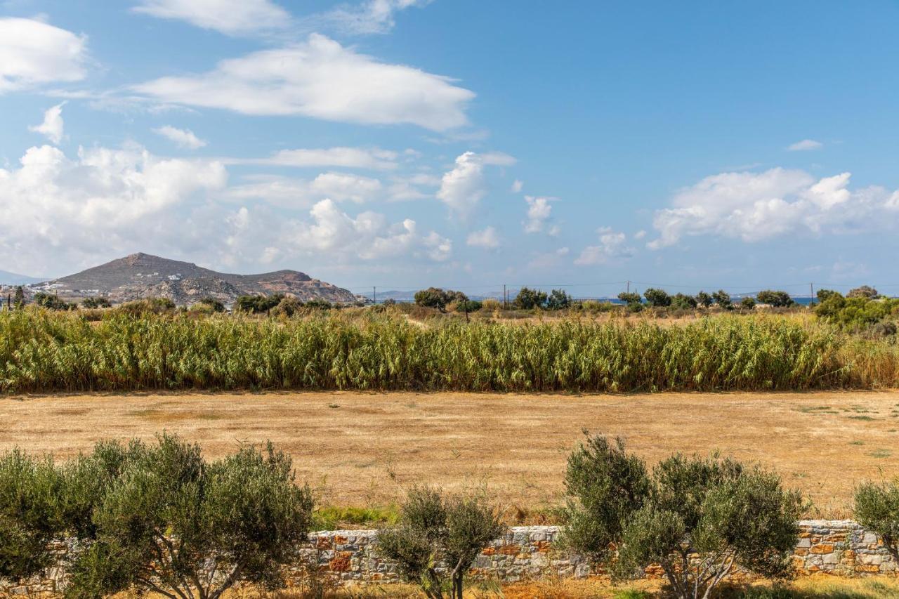 Surfer Paradise Naxos City Экстерьер фото